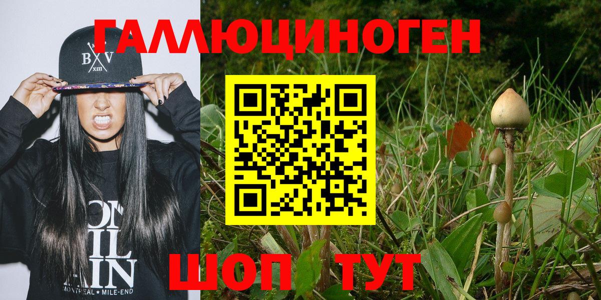 Галлюциногенные грибы мухоморы Копейск