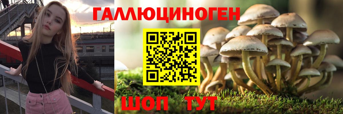 Псилоцибиновые грибы MAGIC MUSHROOMS  Вход с VPN  Копейск 